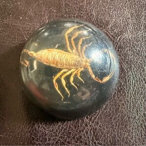 Handcrafted Black Resin Paperweight with Encased Scorpion - Black